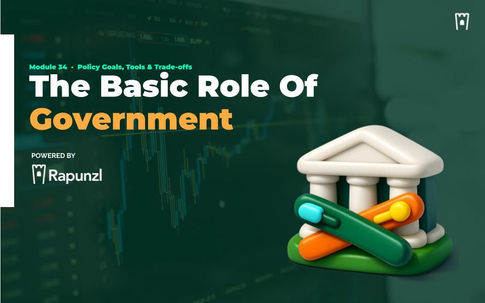 The Role of Government cover graphic for the Rapunzl economics curriculum