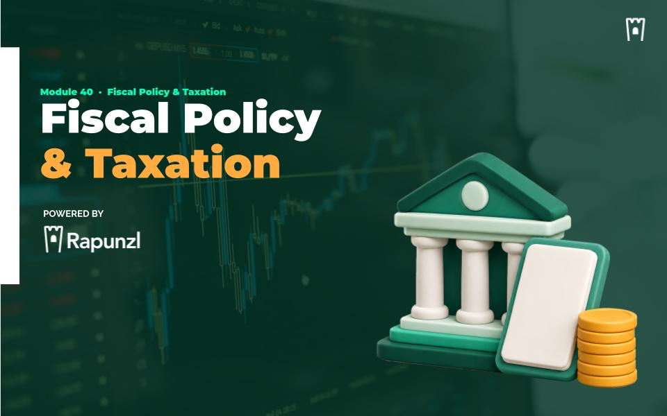 Fiscal Policy & Taxation cover graphic for the Rapunzl economics curriculum